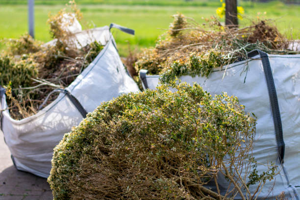 Best Furniture Removal Near Me  in Keyser, WV